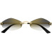 CARTIER CT0433S 001